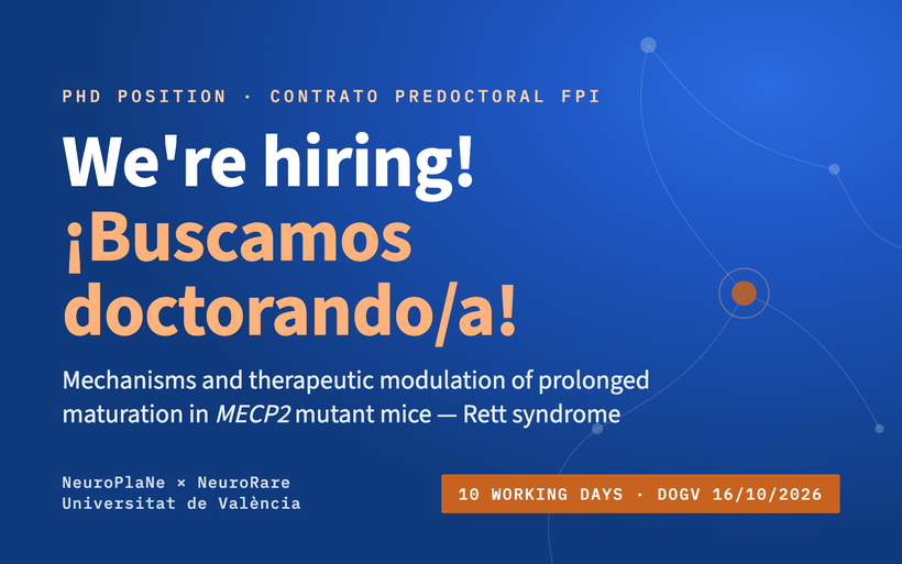 We are hiring: FPI PhD position on Rett syndrome and MECP2